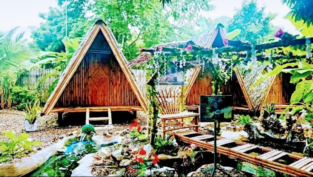 Moalboal Bamboo House / Rooms エクステリア 写真