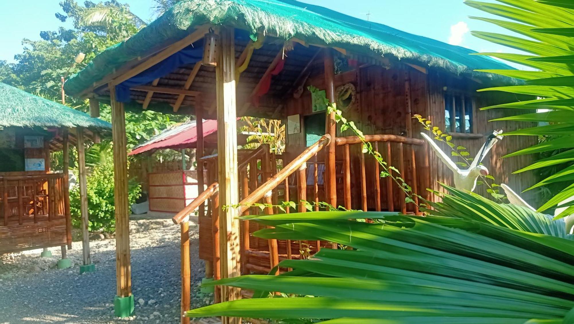 Moalboal Bamboo House / Rooms エクステリア 写真