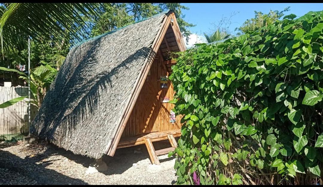 Moalboal Bamboo House / Rooms エクステリア 写真