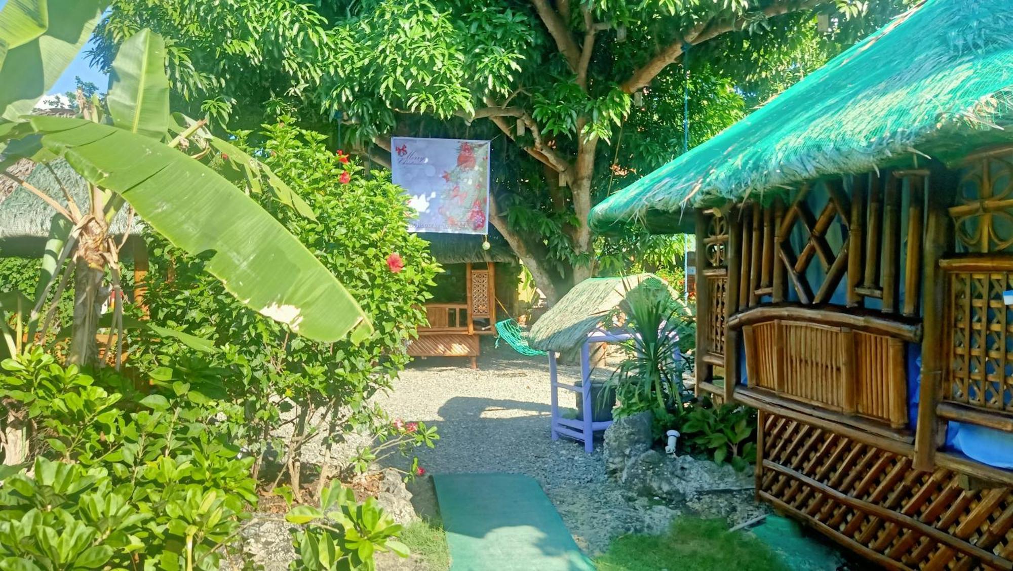 Moalboal Bamboo House / Rooms エクステリア 写真