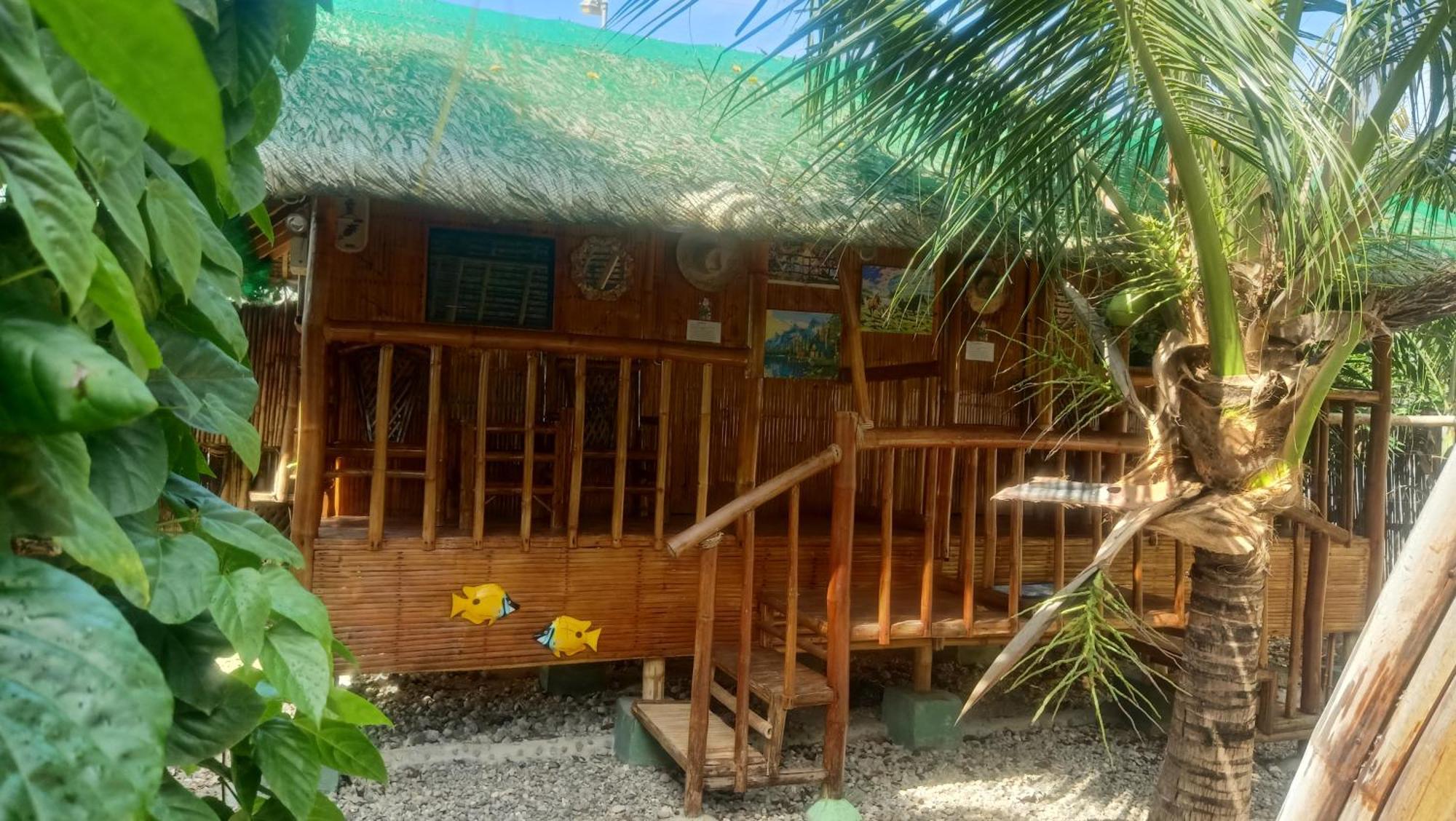 Moalboal Bamboo House / Rooms 部屋 写真