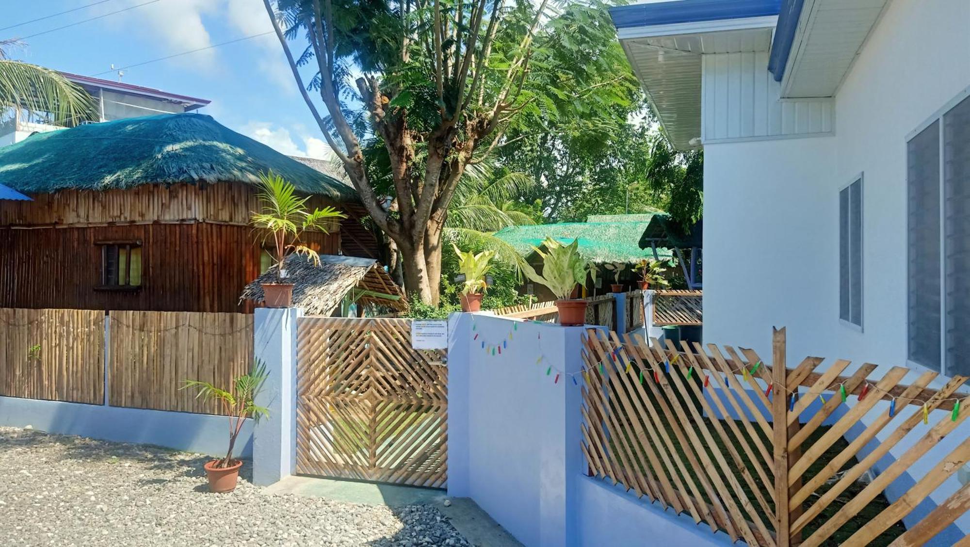 Moalboal Bamboo House / Rooms 部屋 写真