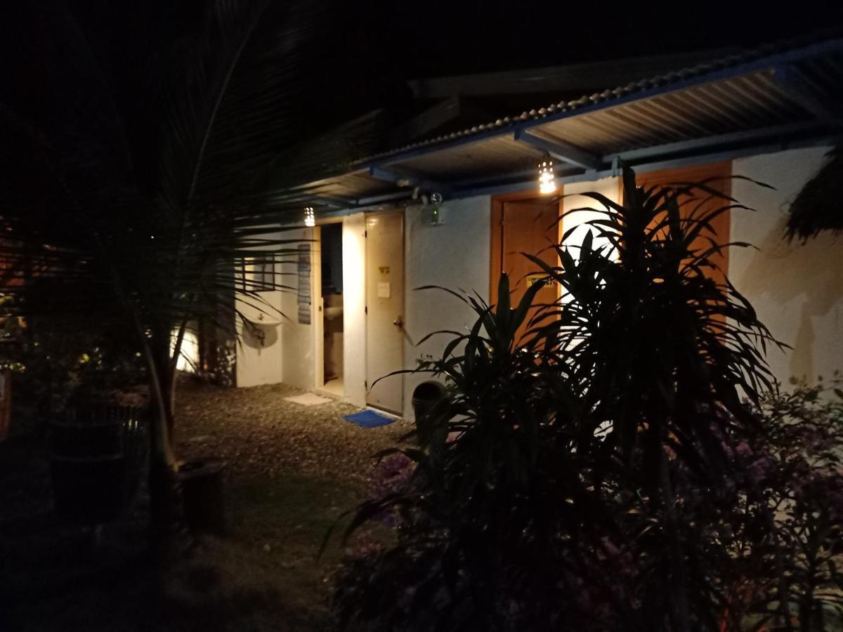 Moalboal Bamboo House / Rooms エクステリア 写真
