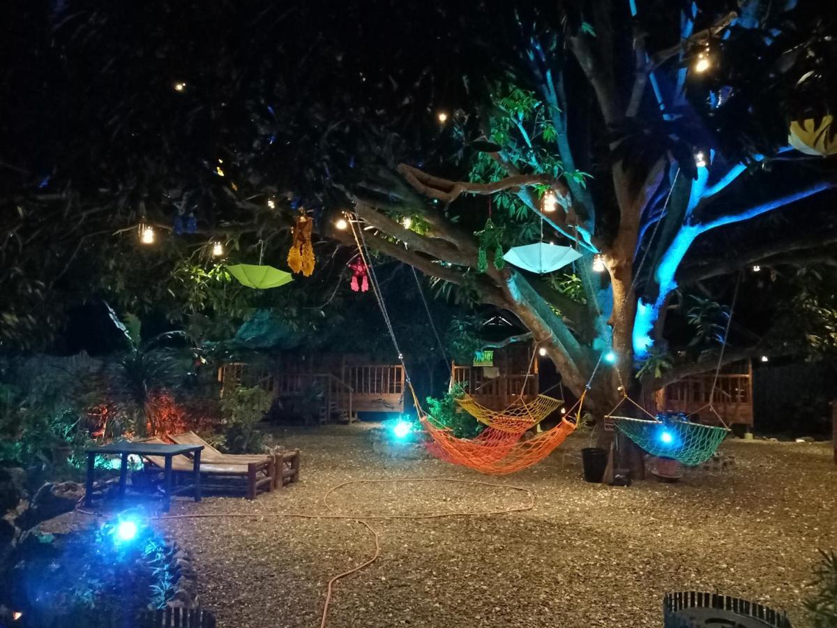 Moalboal Bamboo House / Rooms エクステリア 写真